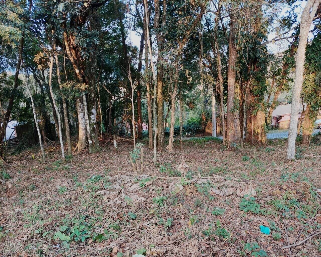 Terreno - Foto 8