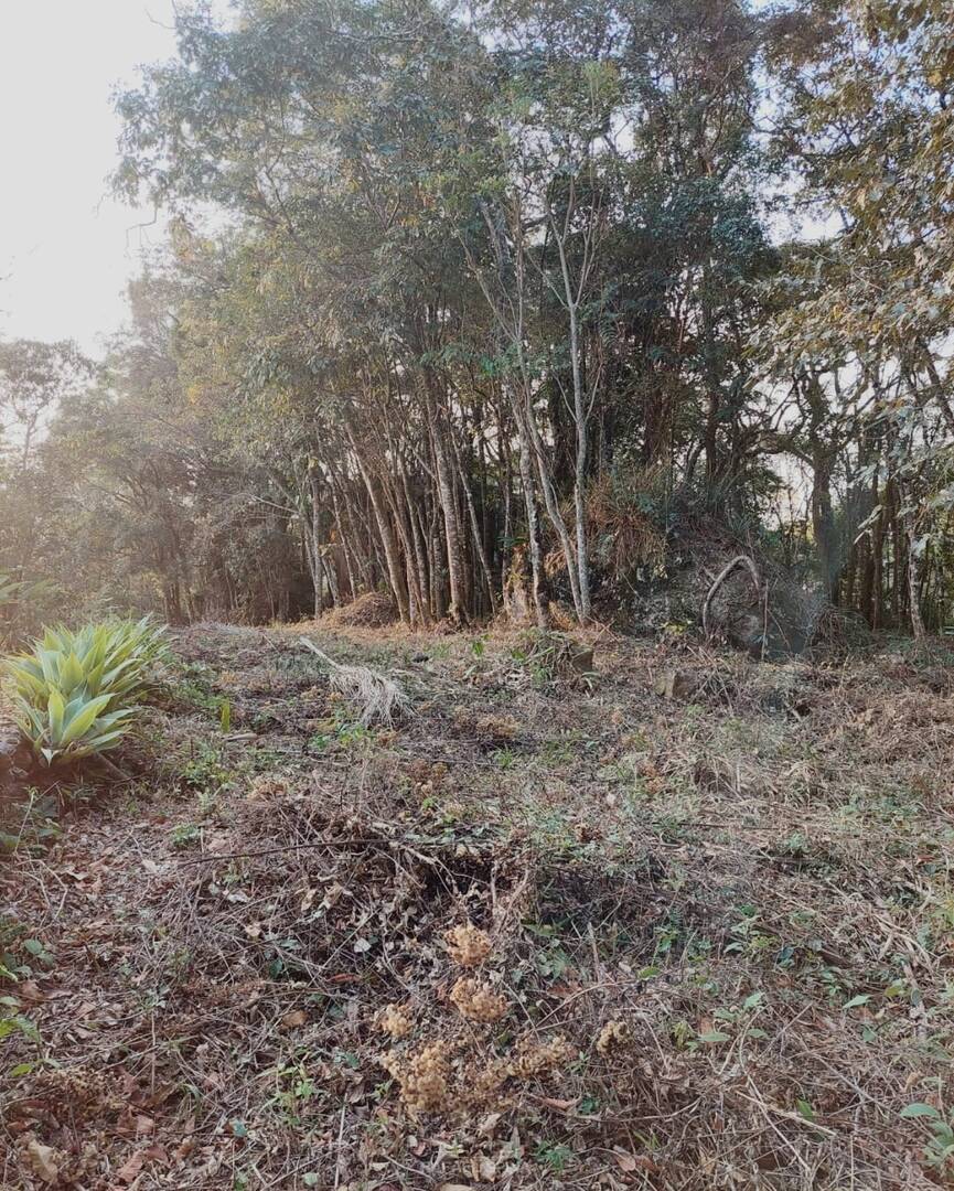 Terreno - Foto 9