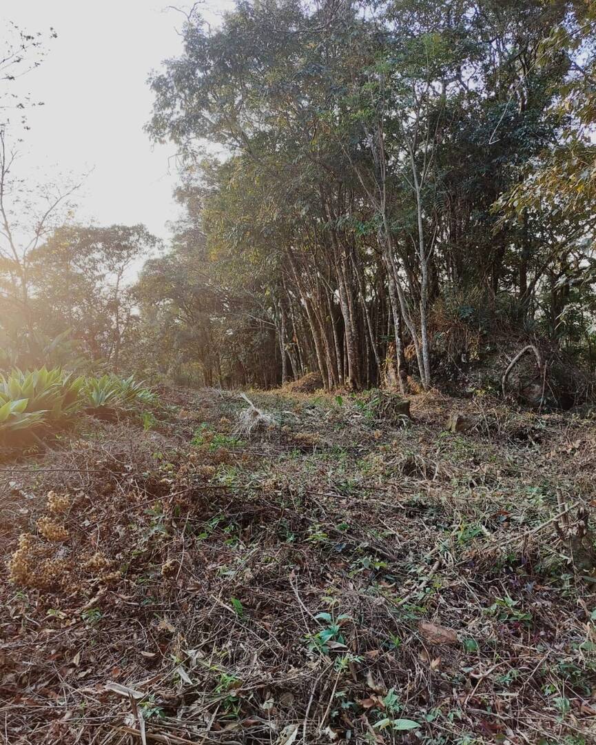 Terreno - Foto 11