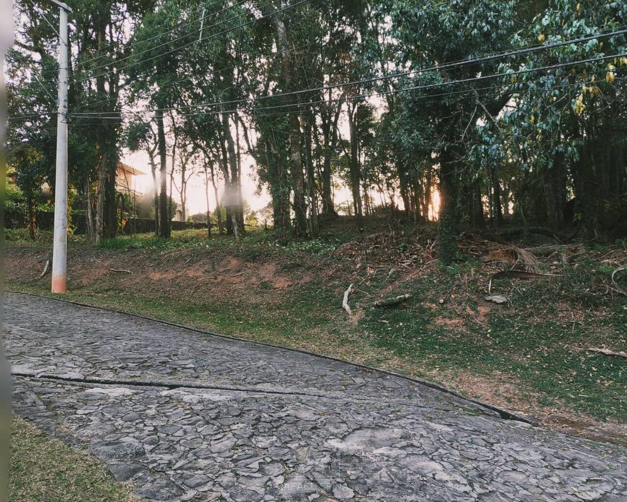 Terreno - Foto 13