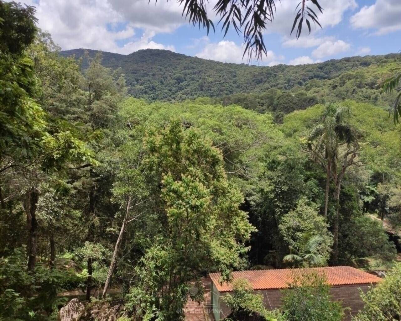 Terreno - Foto 11