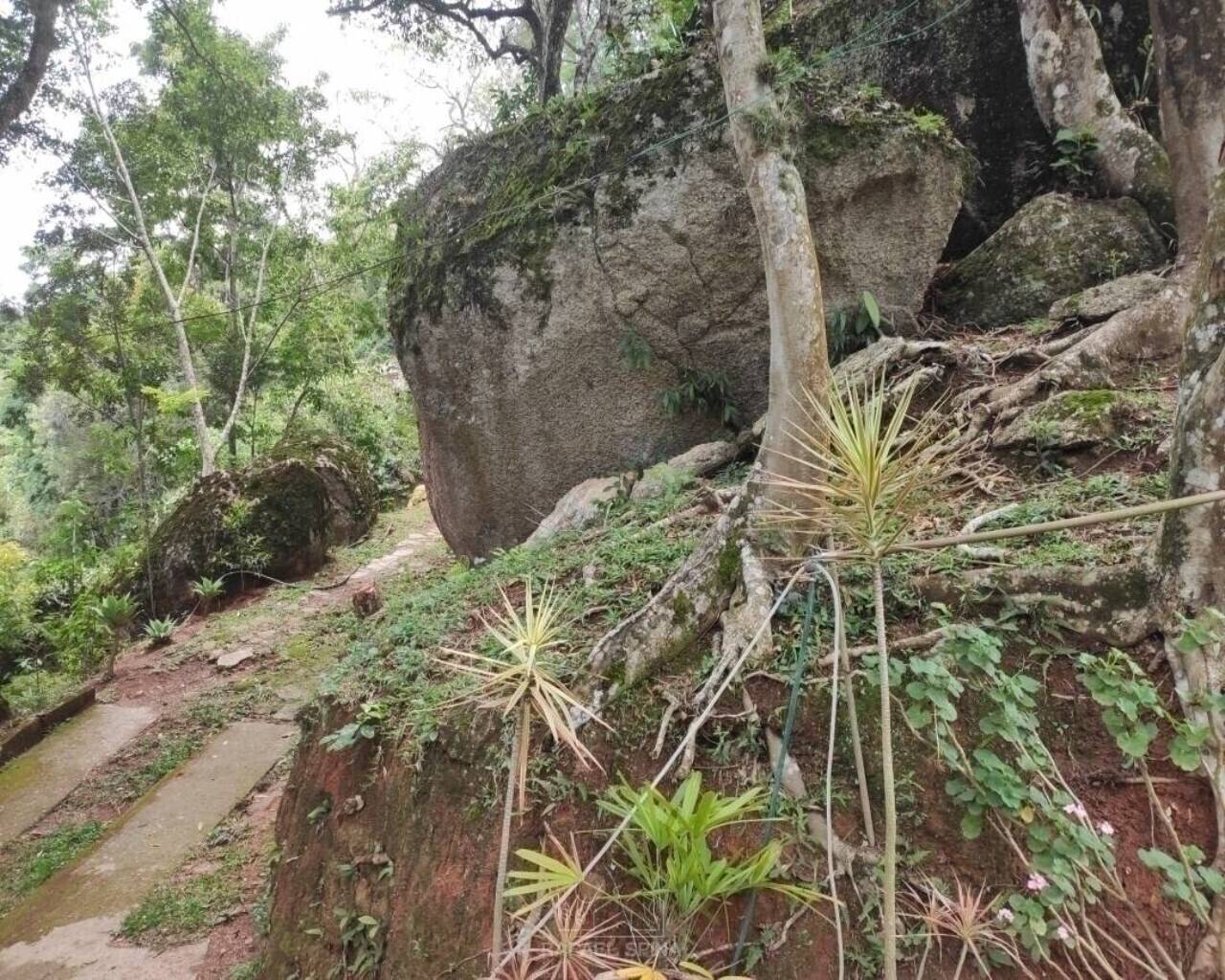 Terreno - Foto 41