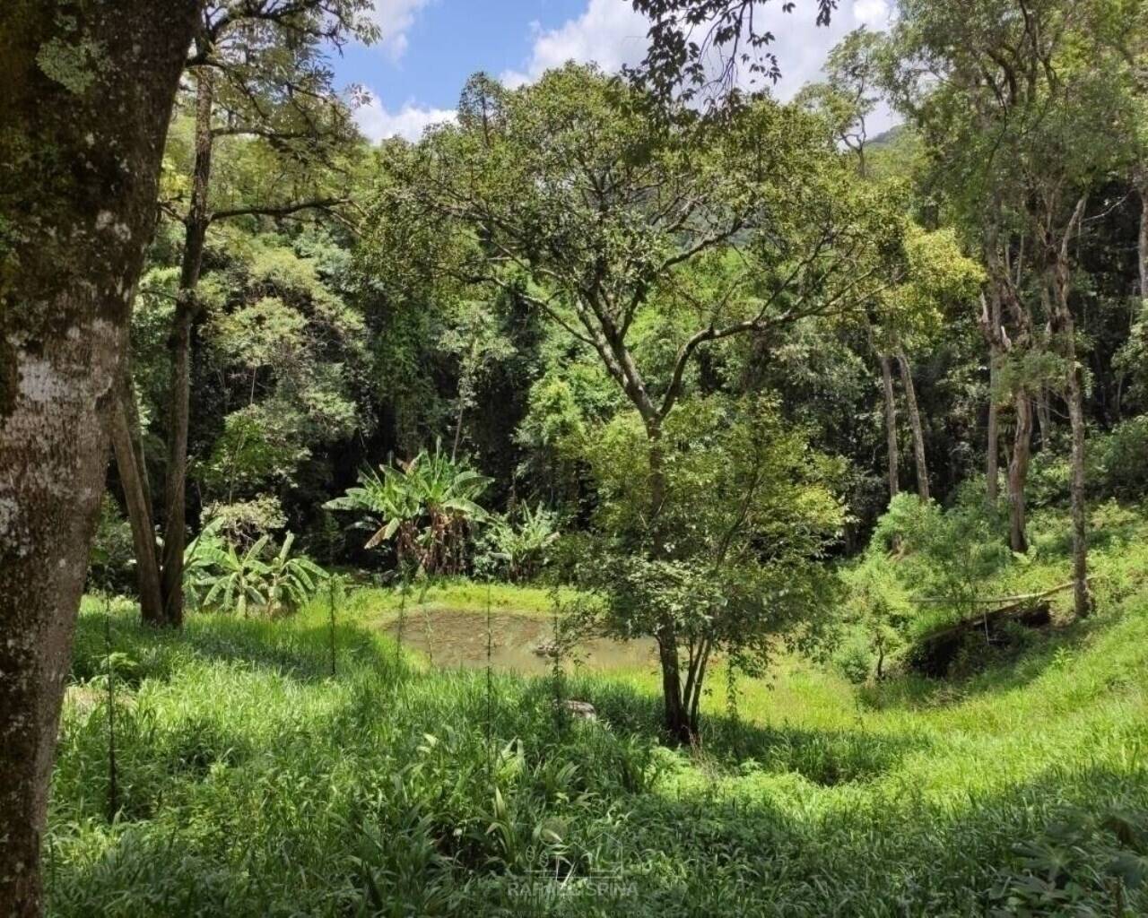 Terreno - Foto 46