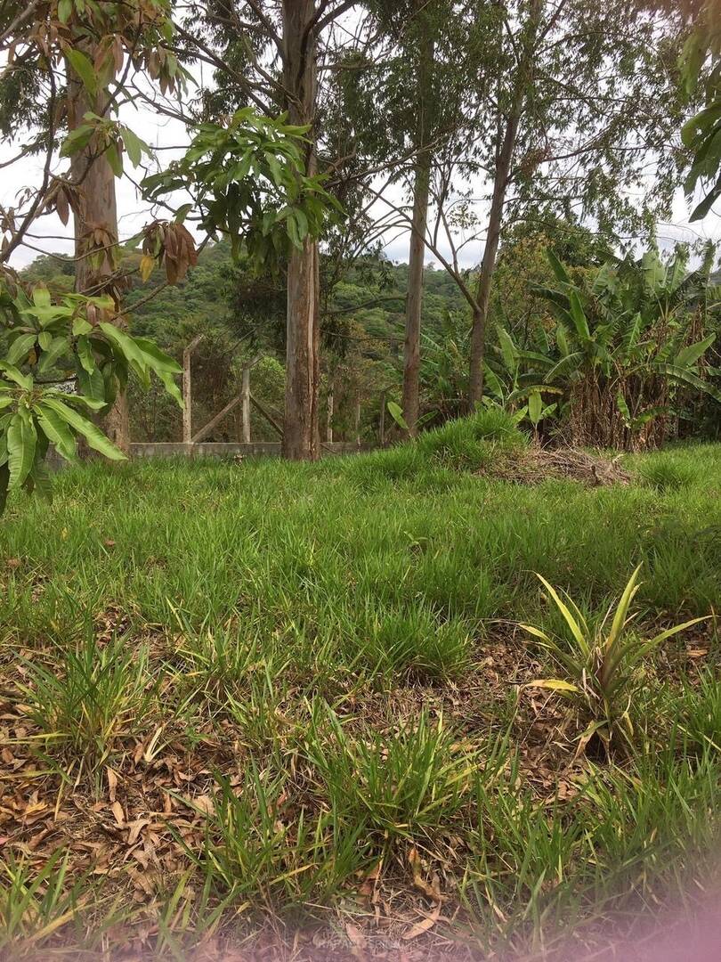 Terreno - Foto 1
