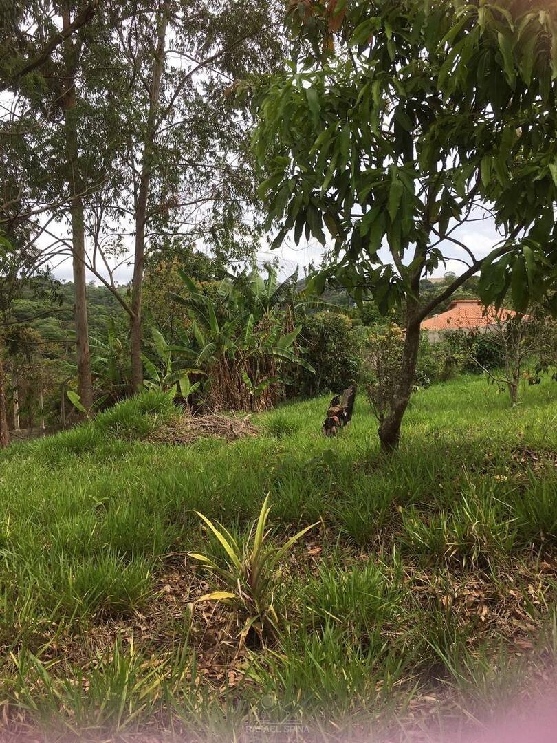 Terreno - Foto 2