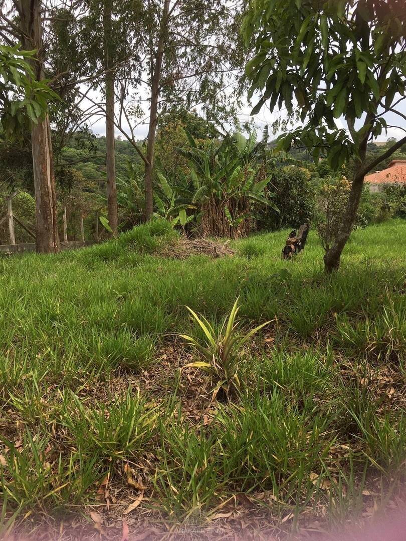Terreno - Foto 4