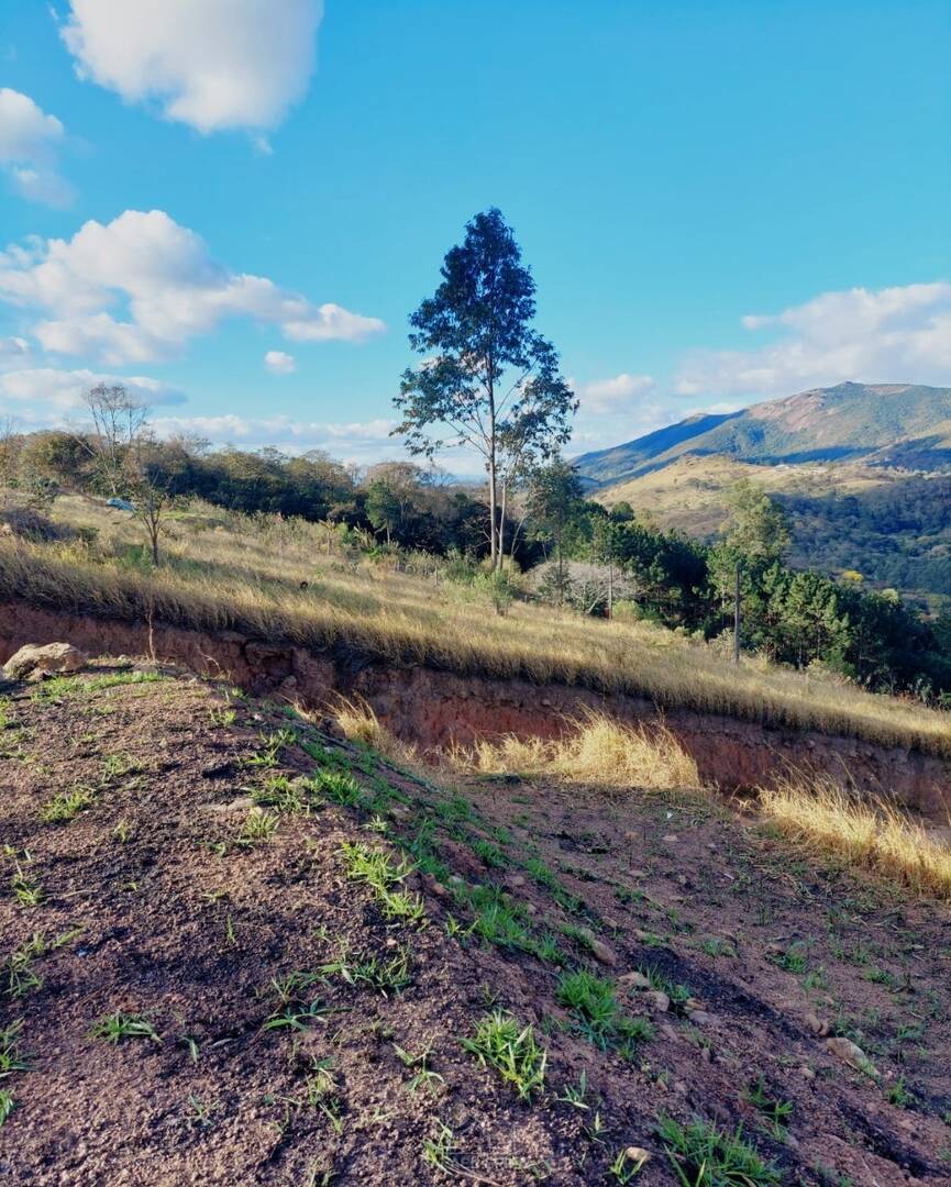 Terreno - Foto 3