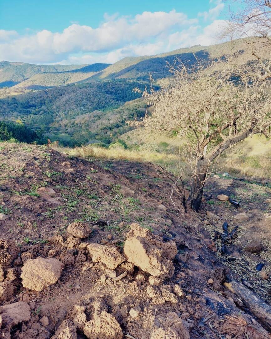 Terreno - Foto 5