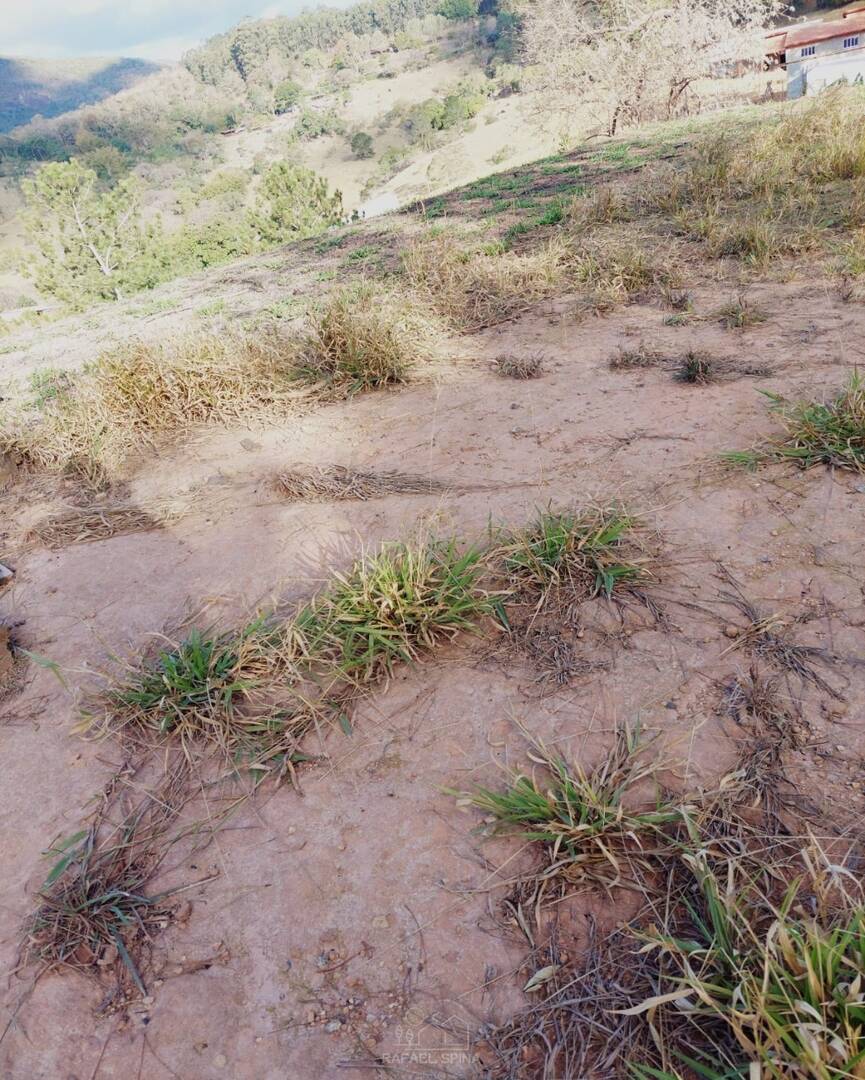 Terreno - Foto 7