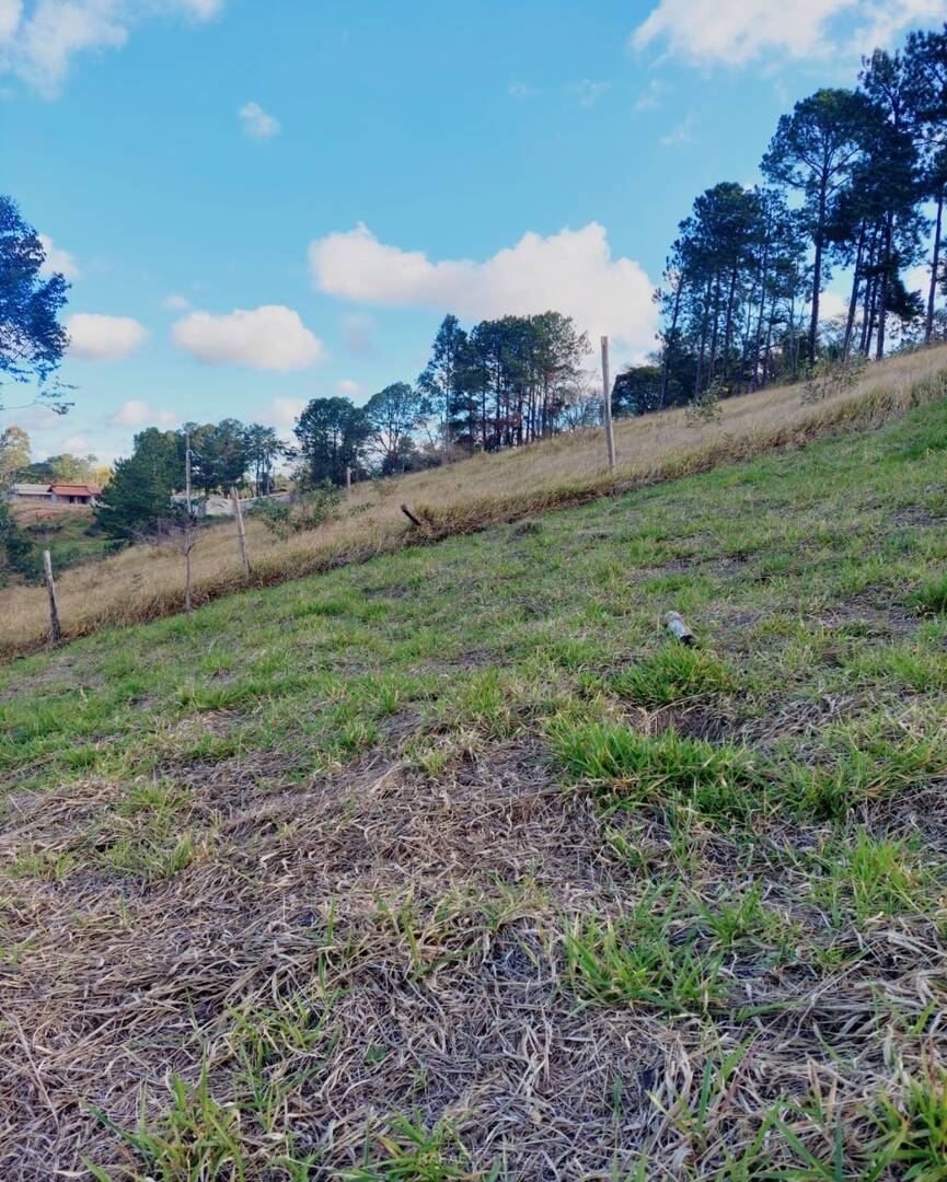 Terreno - Foto 10