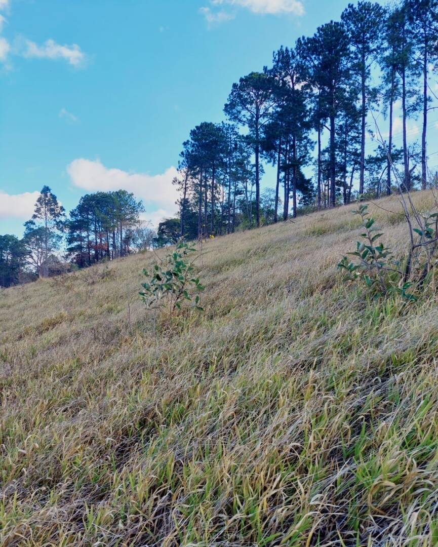 Terreno - Foto 11