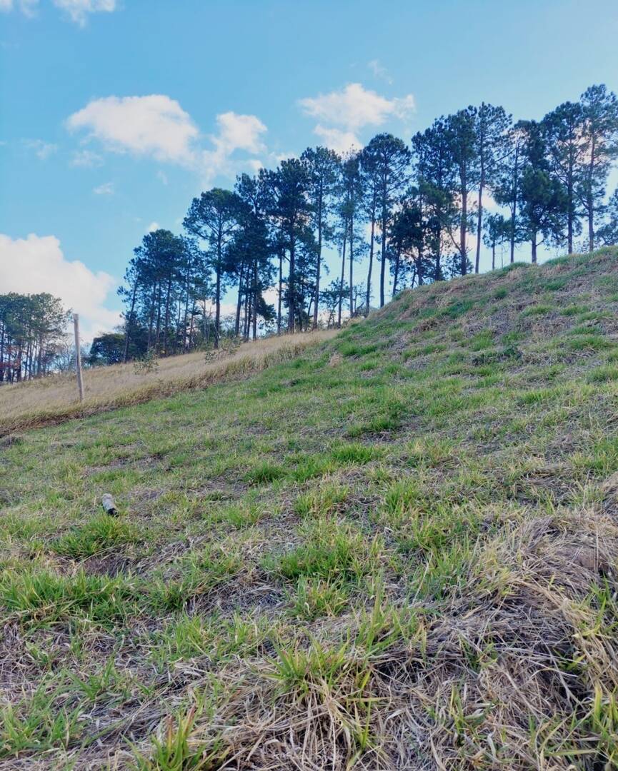 Terreno - Foto 14