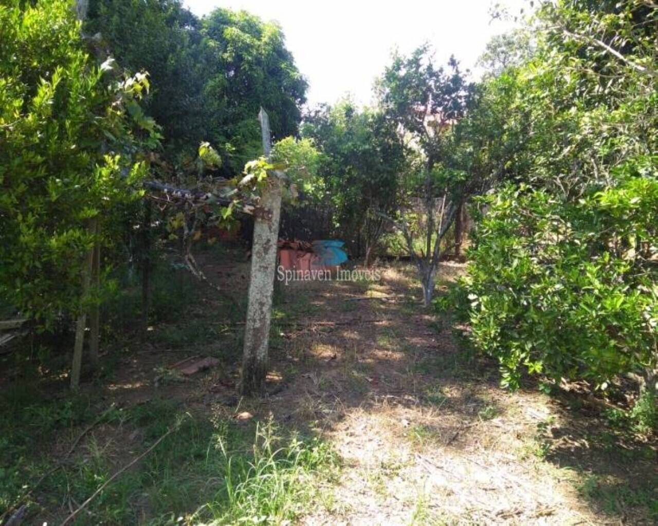 Terreno - Foto 43