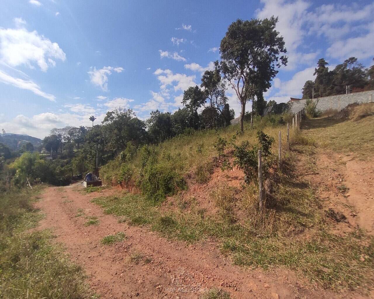Terreno - Foto 7