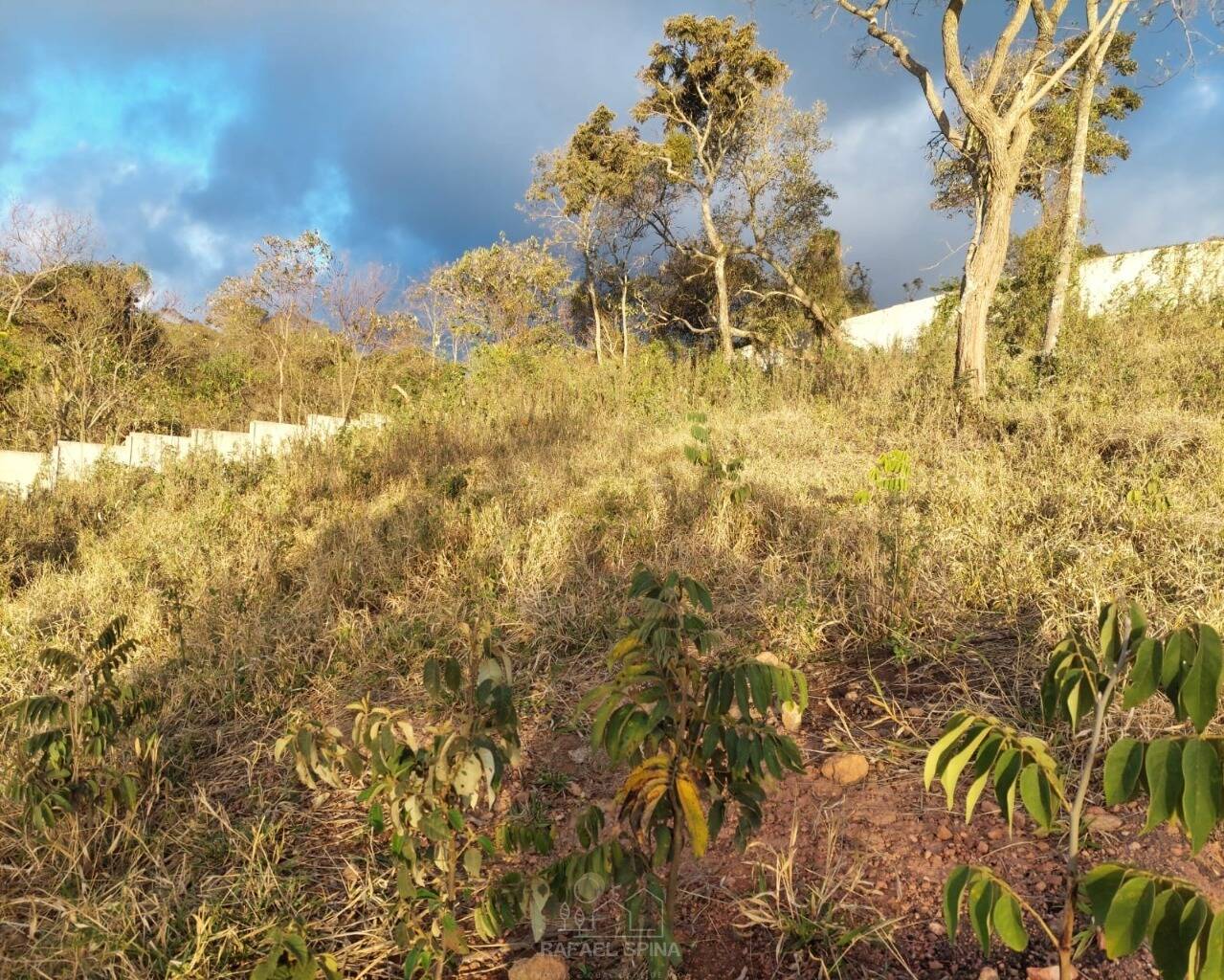 Terreno - Foto 10