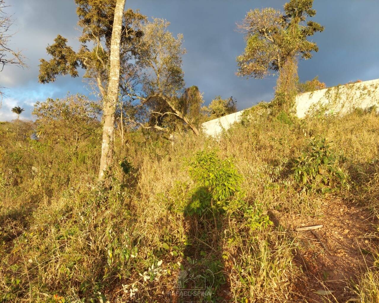Terreno - Foto 13