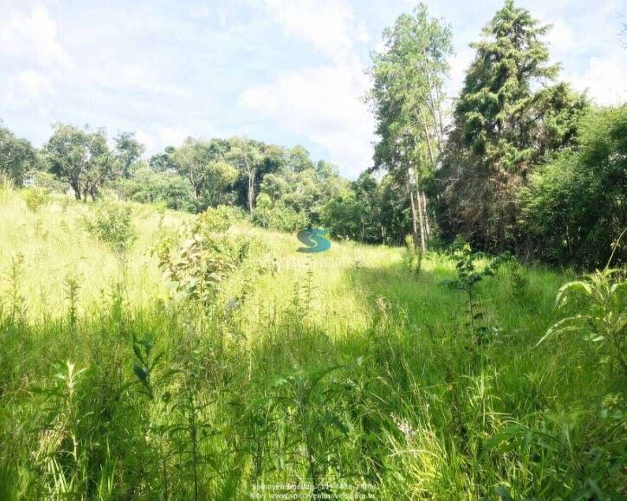 Terreno - Foto 2