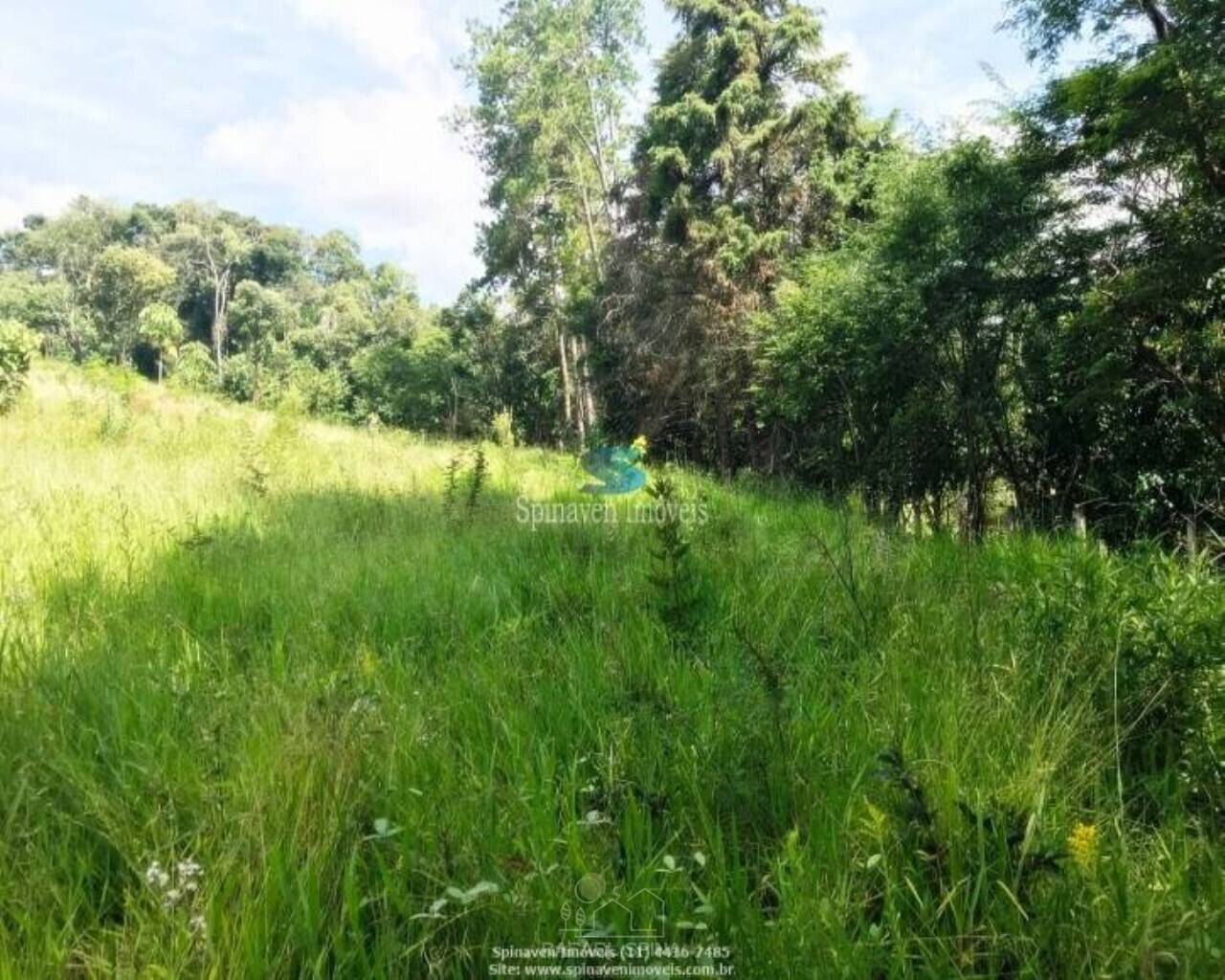 Terreno - Foto 5