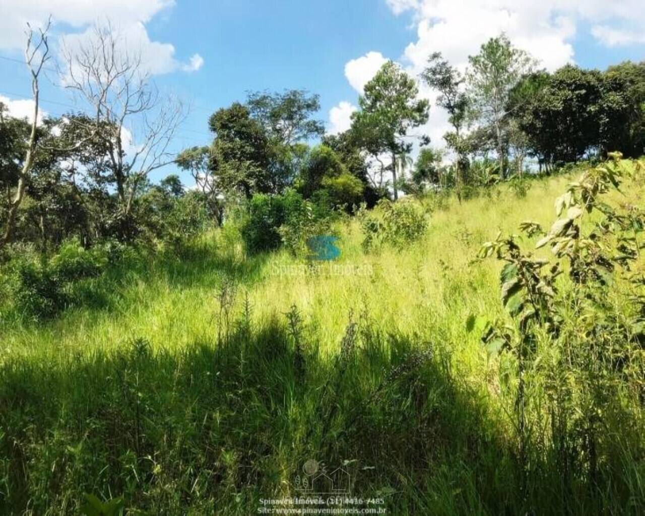 Terreno - Foto 6