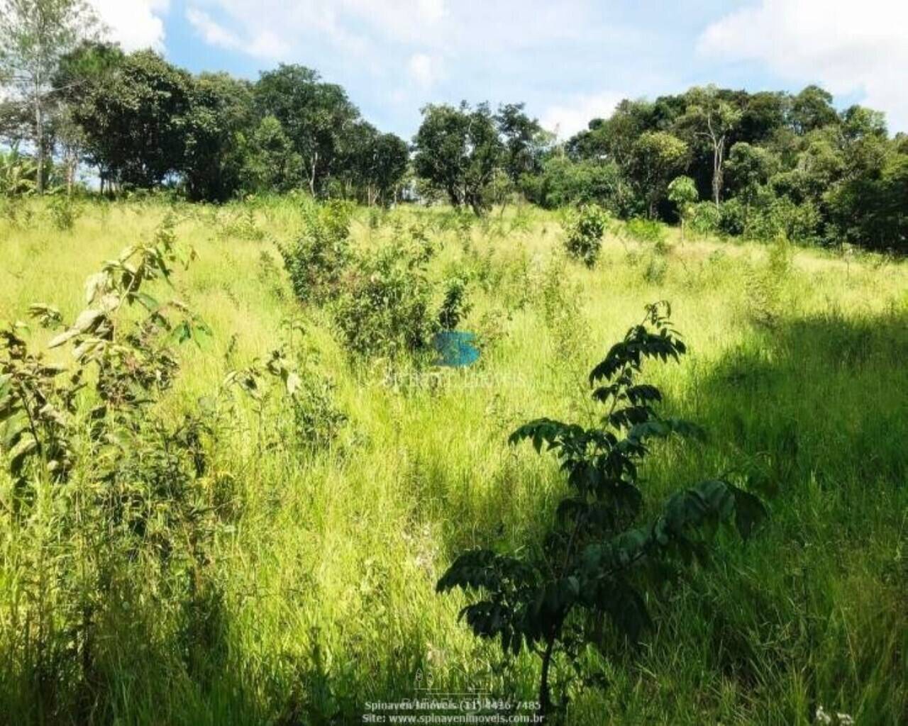 Terreno - Foto 7