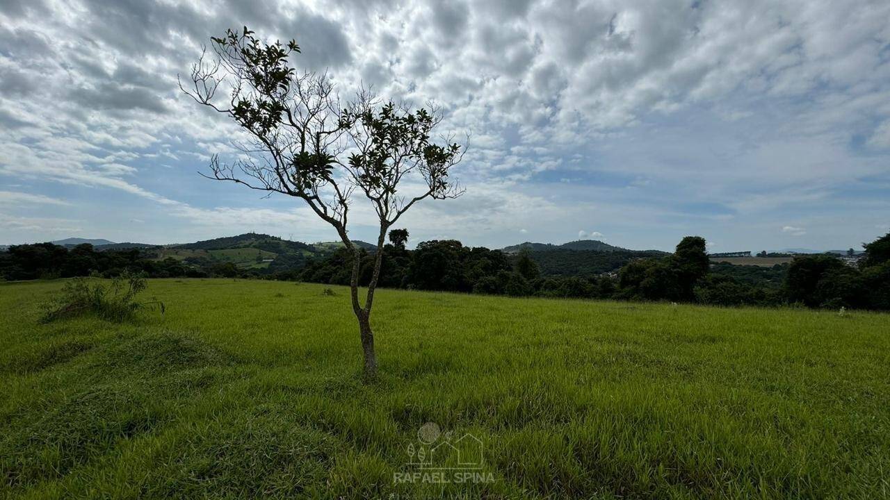 Depósito-Galpão - Foto 6