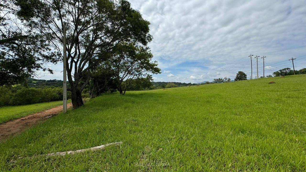 Depósito-Galpão - Foto 12