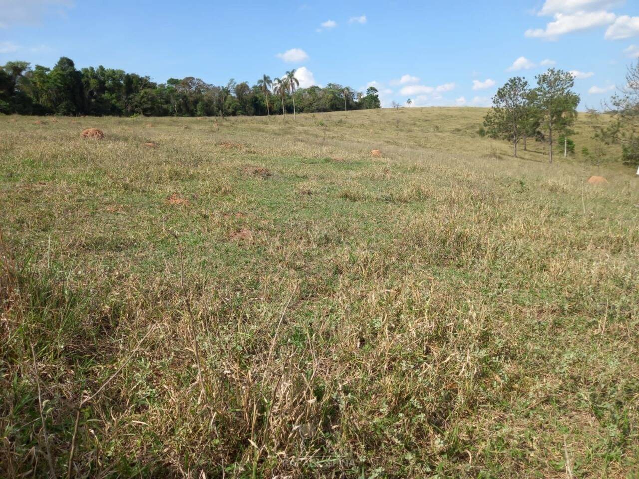 Terreno - Foto 4