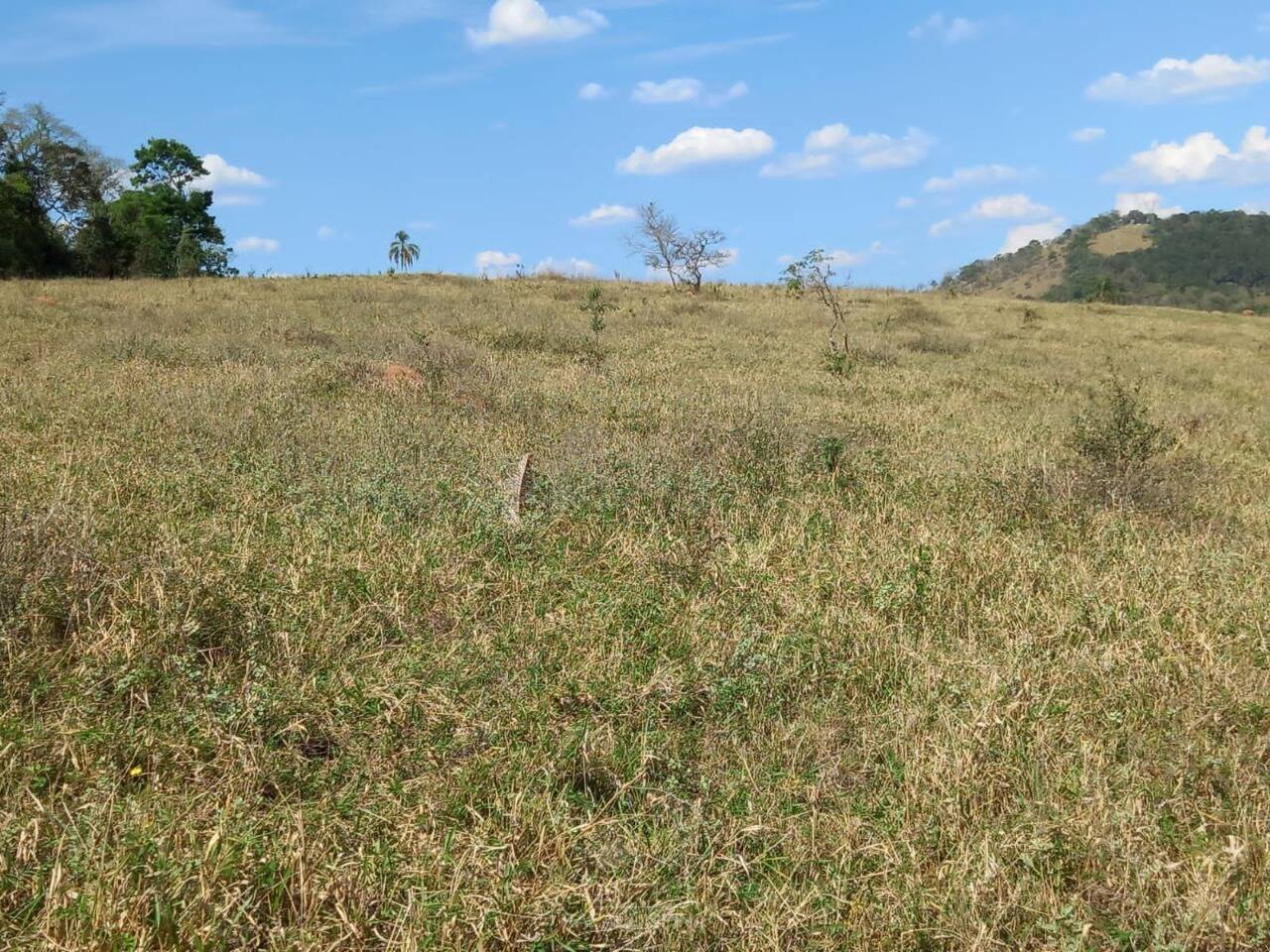 Terreno - Foto 5
