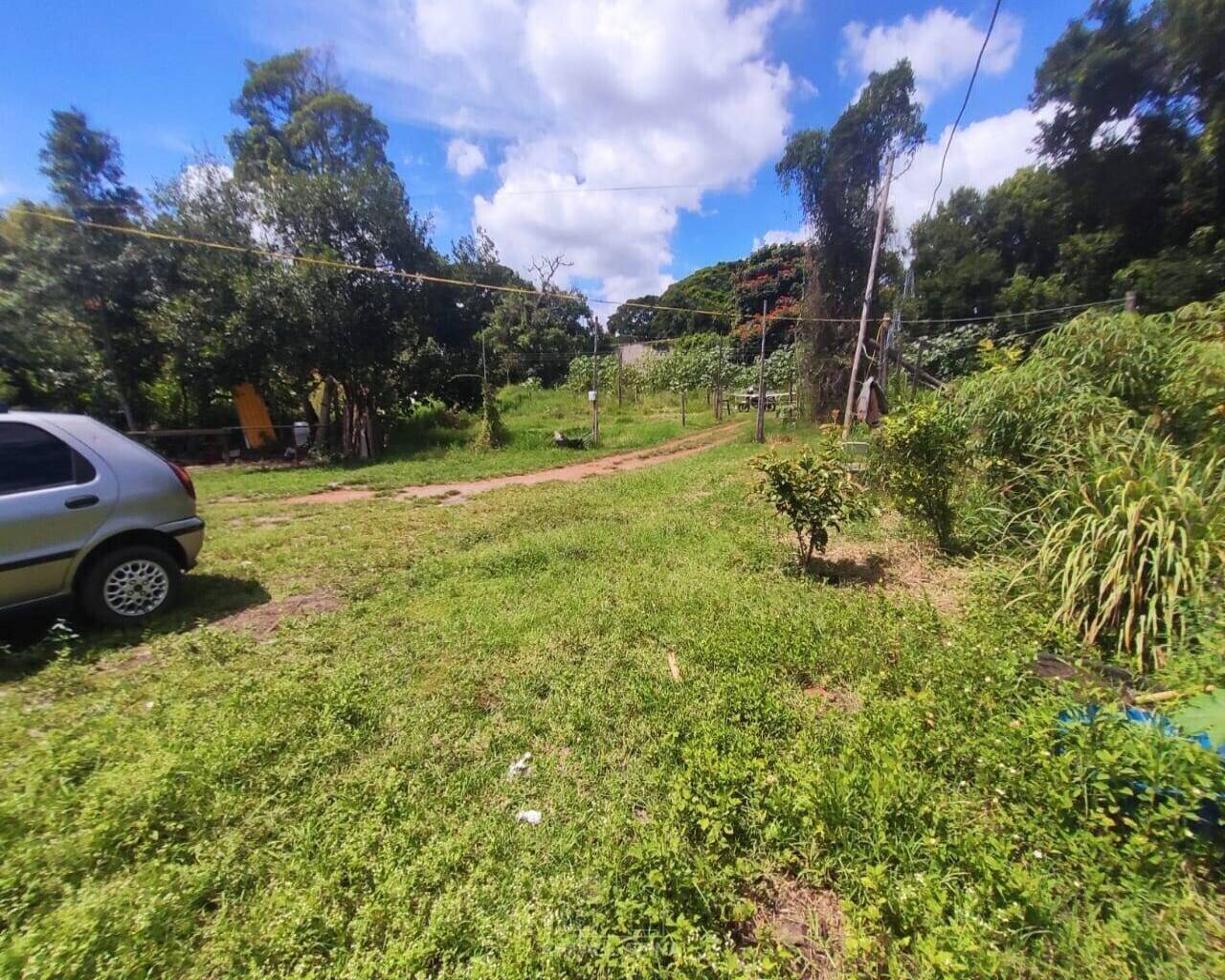 Terreno - Foto 17