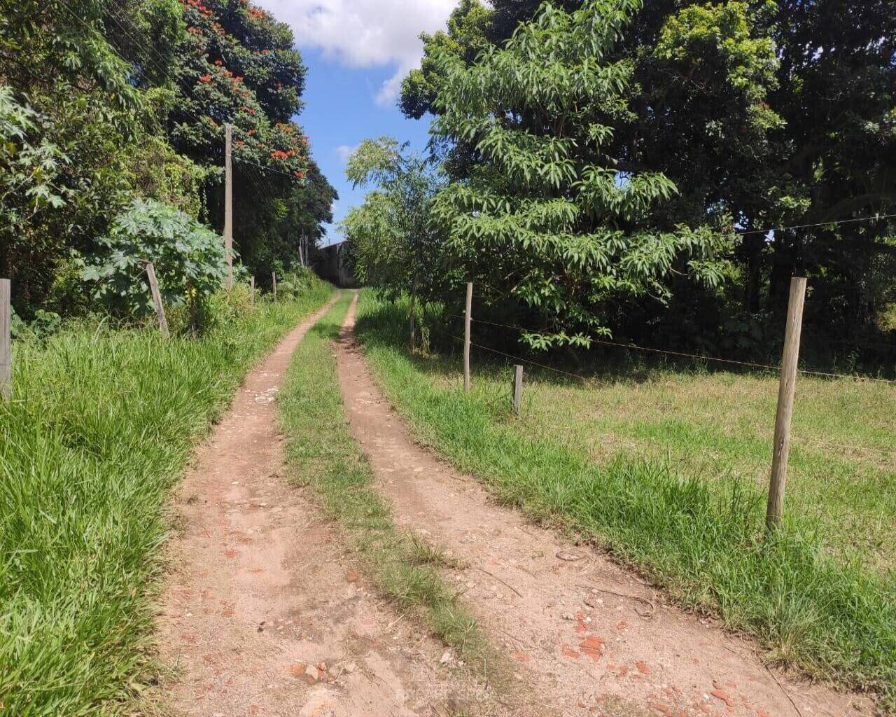 Terreno - Foto 19