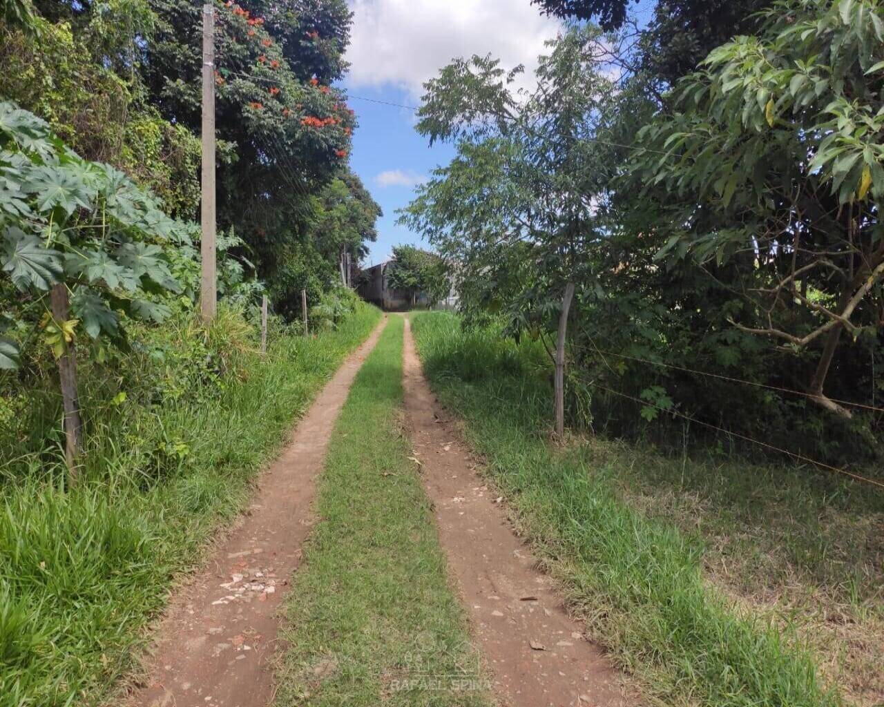 Terreno - Foto 22
