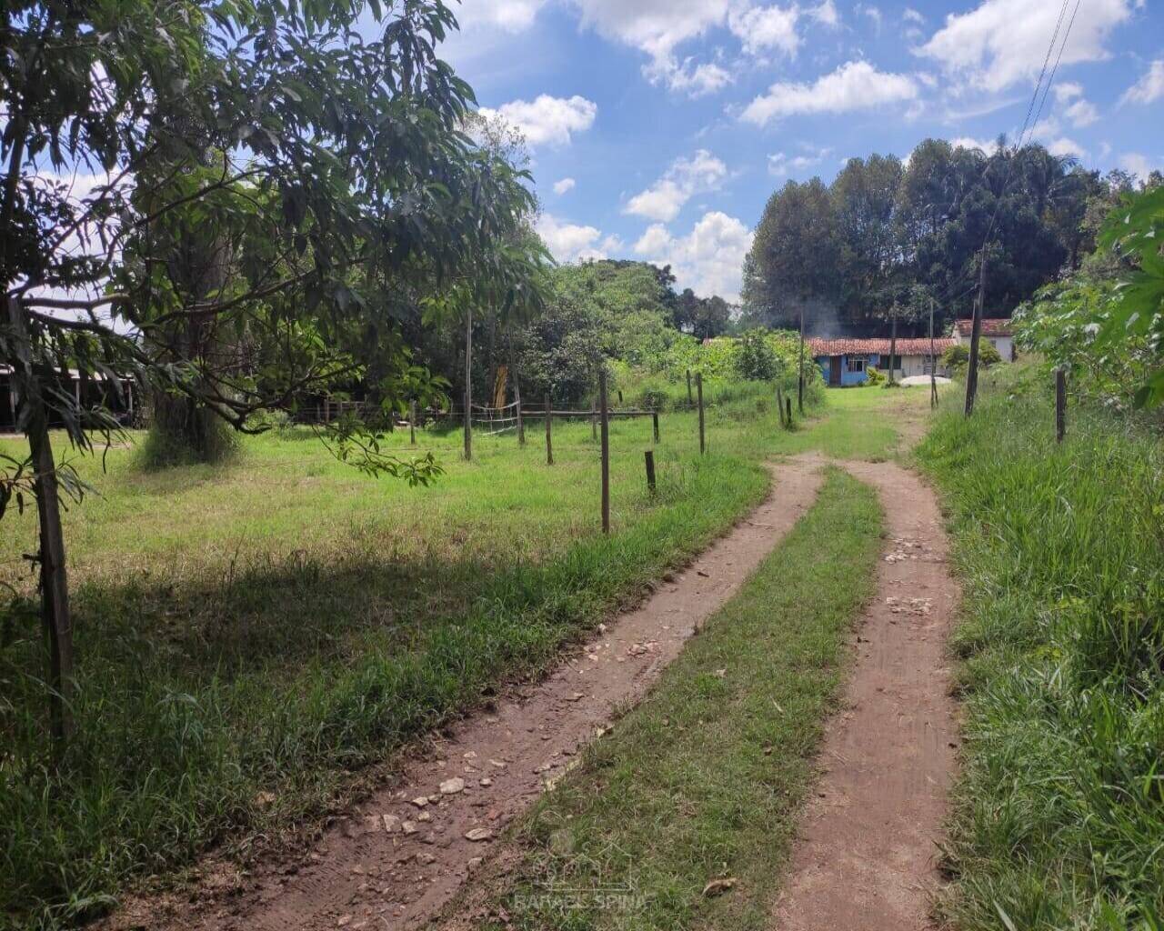 Terreno - Foto 23