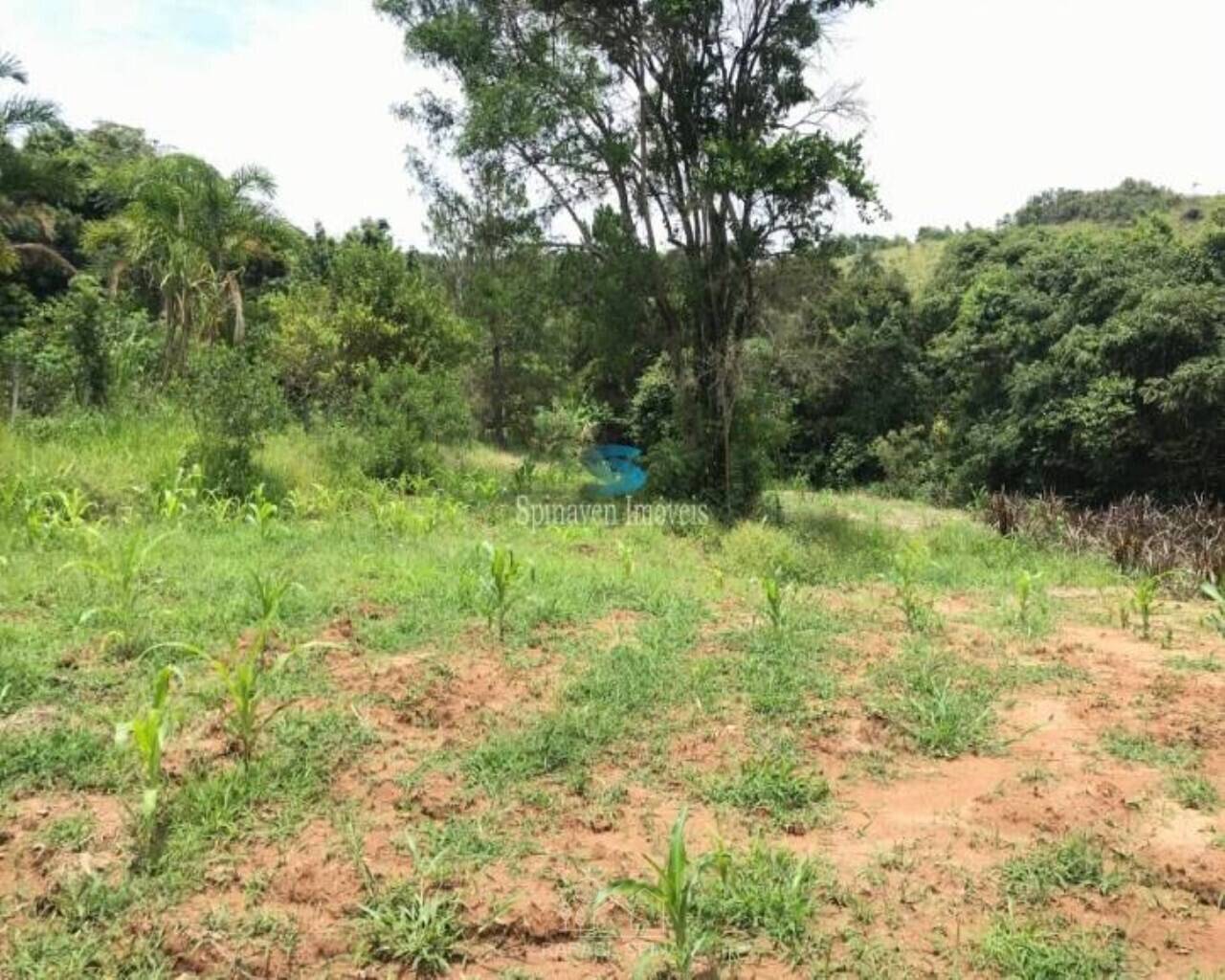 Terreno - Foto 1