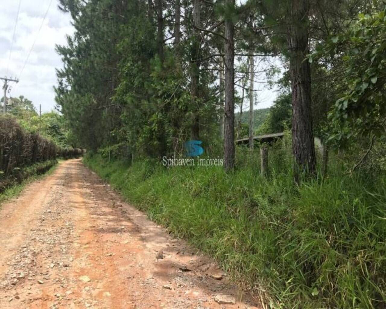 Terreno - Foto 2