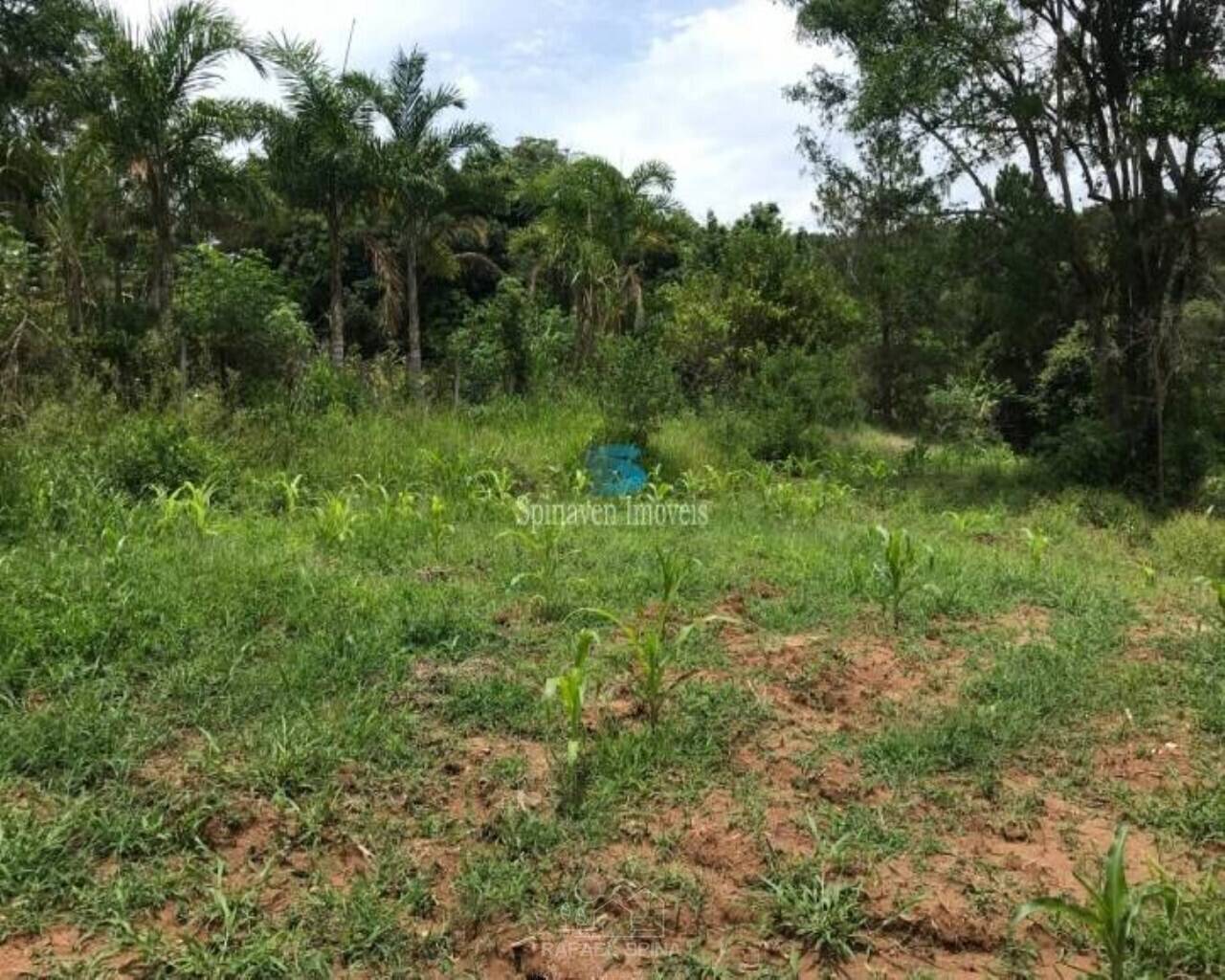 Terreno - Foto 4