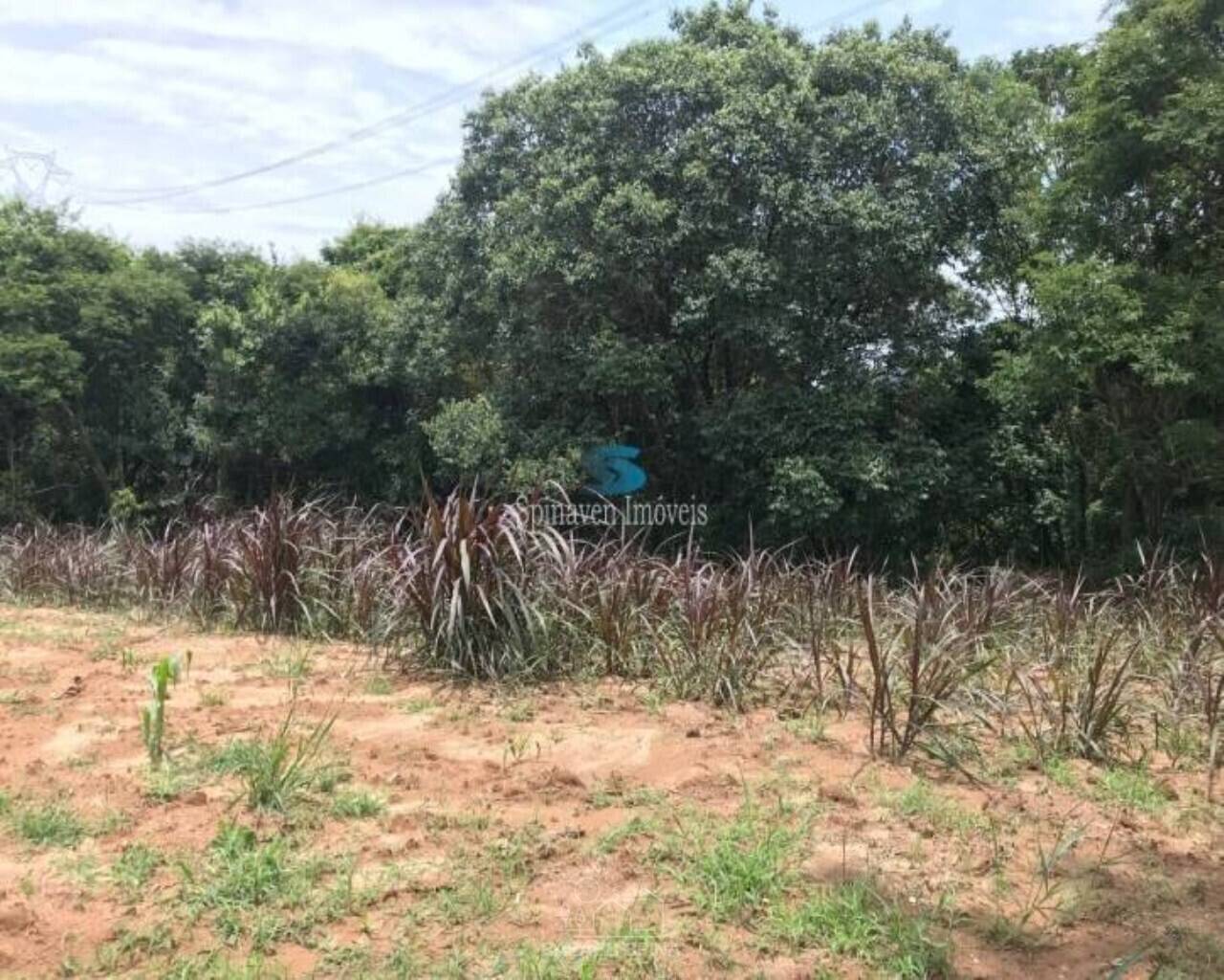 Terreno - Foto 5