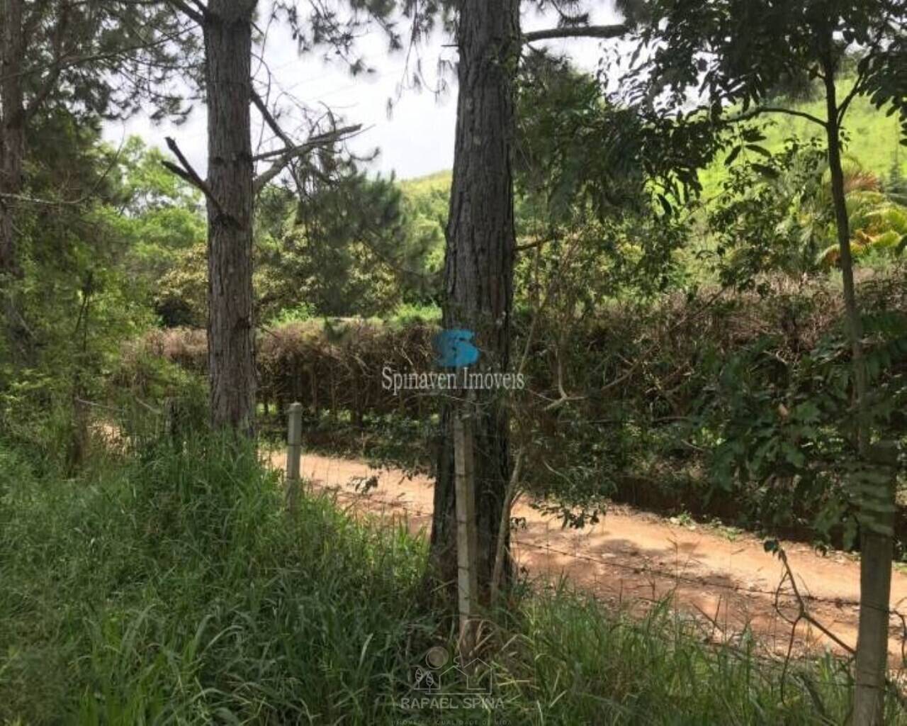 Terreno - Foto 15