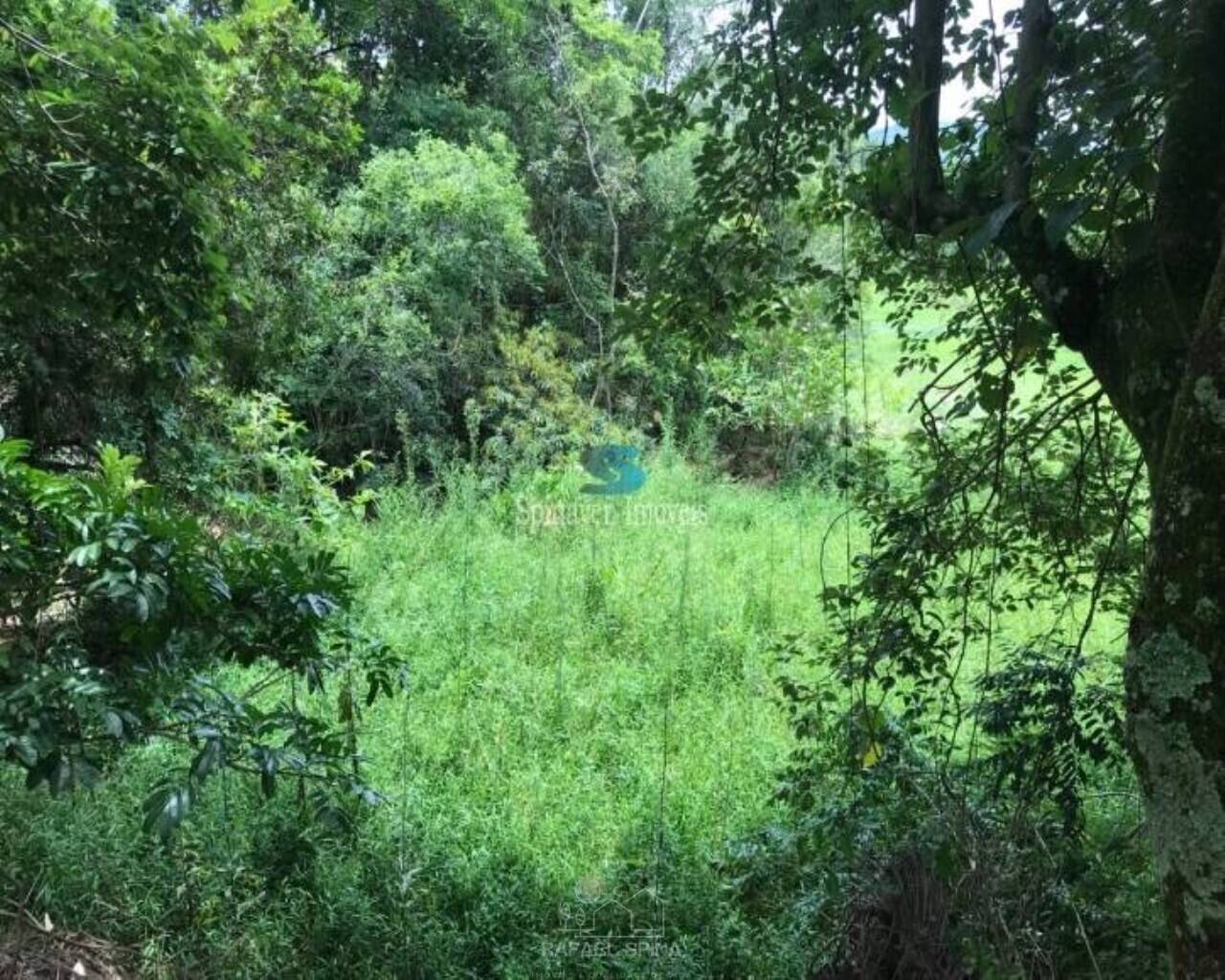 Terreno - Foto 18