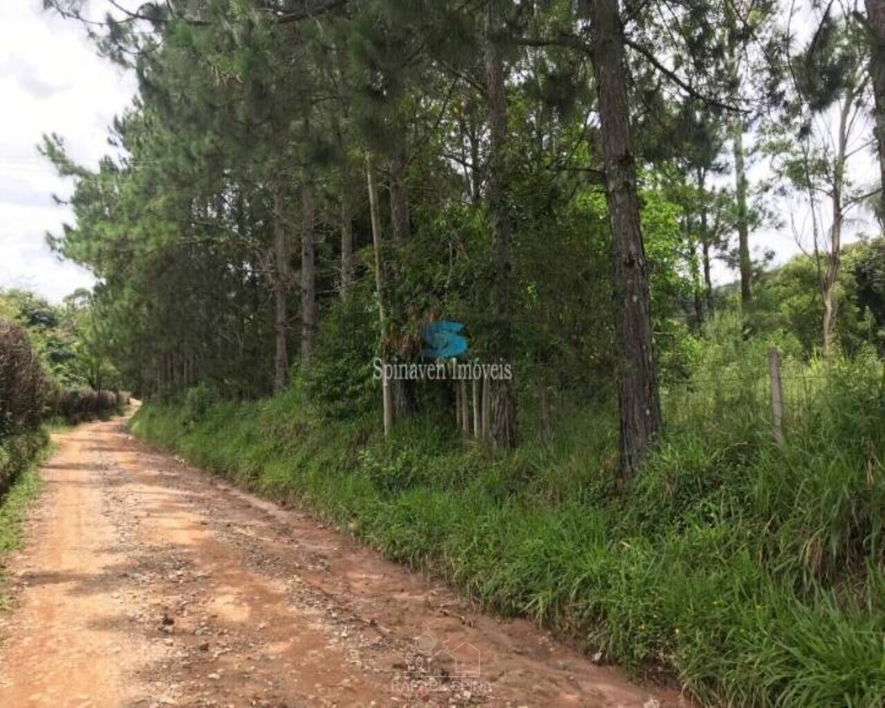 Terreno - Foto 21
