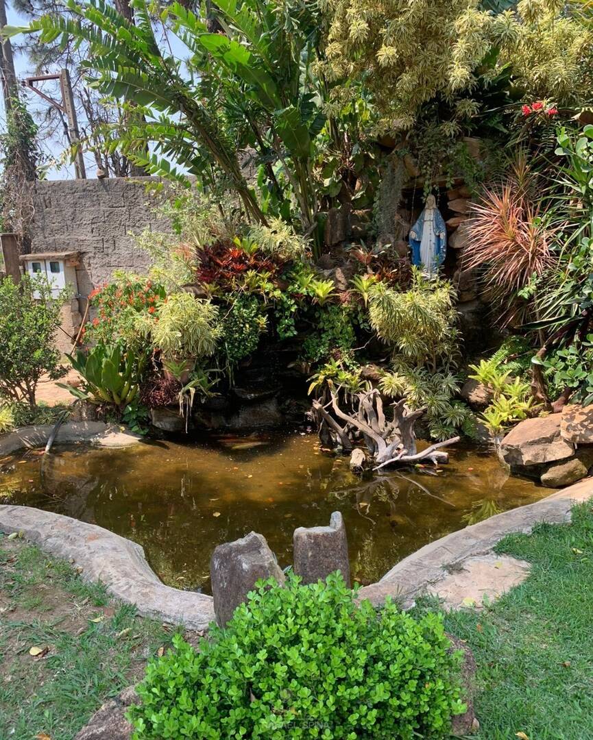 Terreno - Foto 2