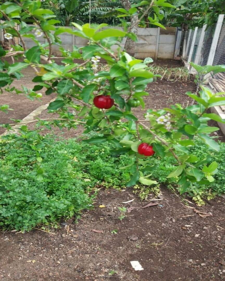Terreno - Foto 6