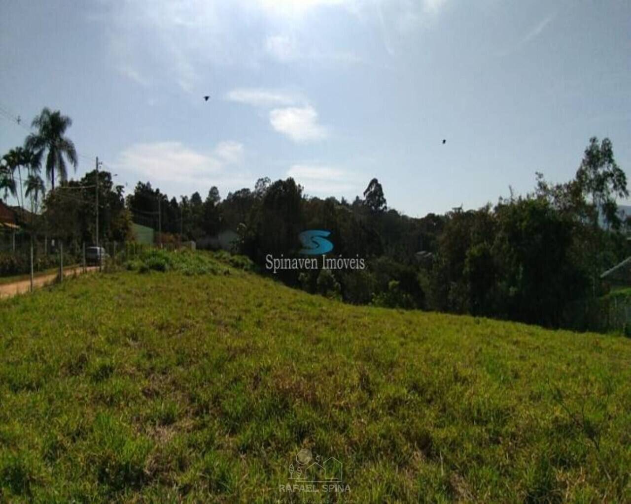 Terreno - Foto 6