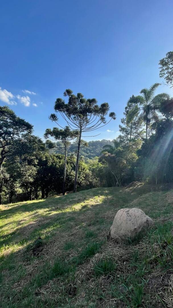 Terreno - Foto 2