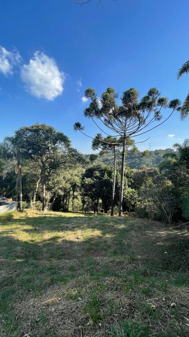 Terreno - Foto 4