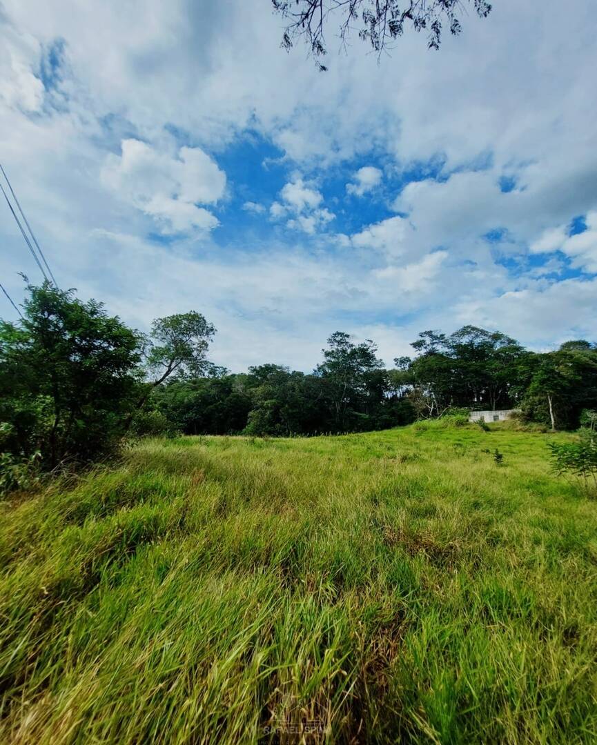Terreno - Foto 13