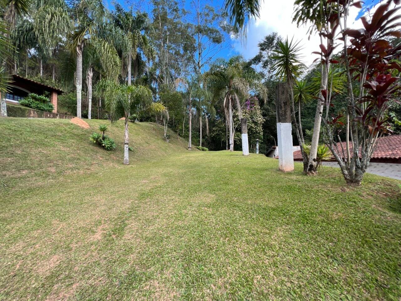 Terreno - Foto 19