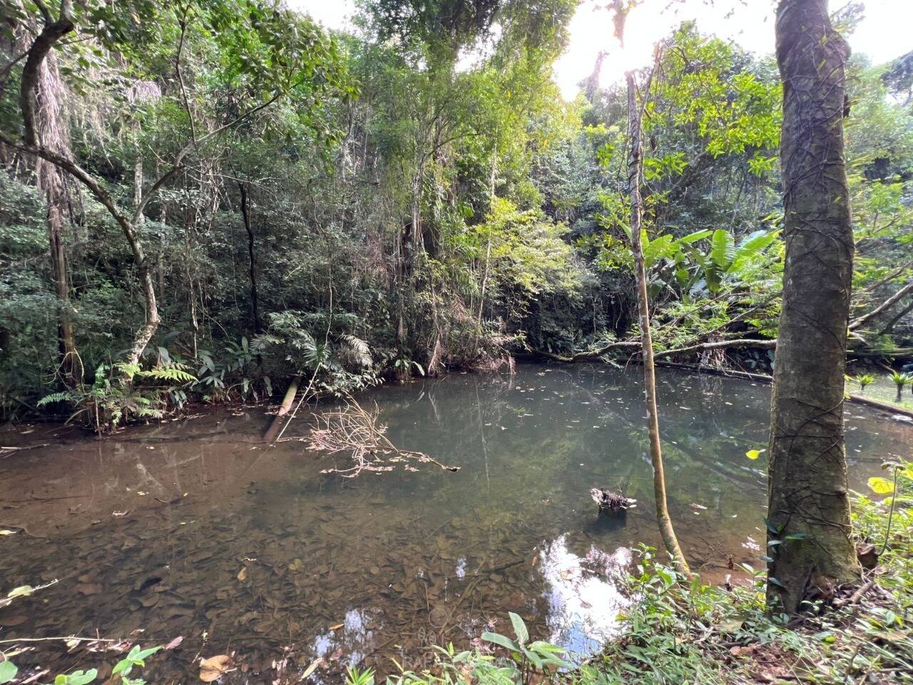 Terreno - Foto 31