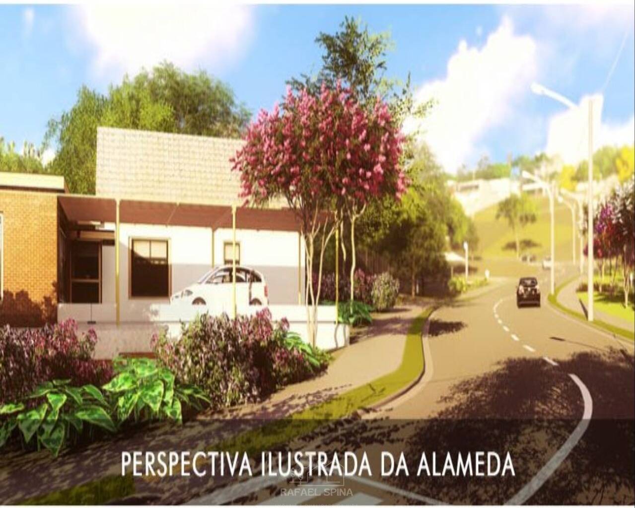 Terreno - Foto 5