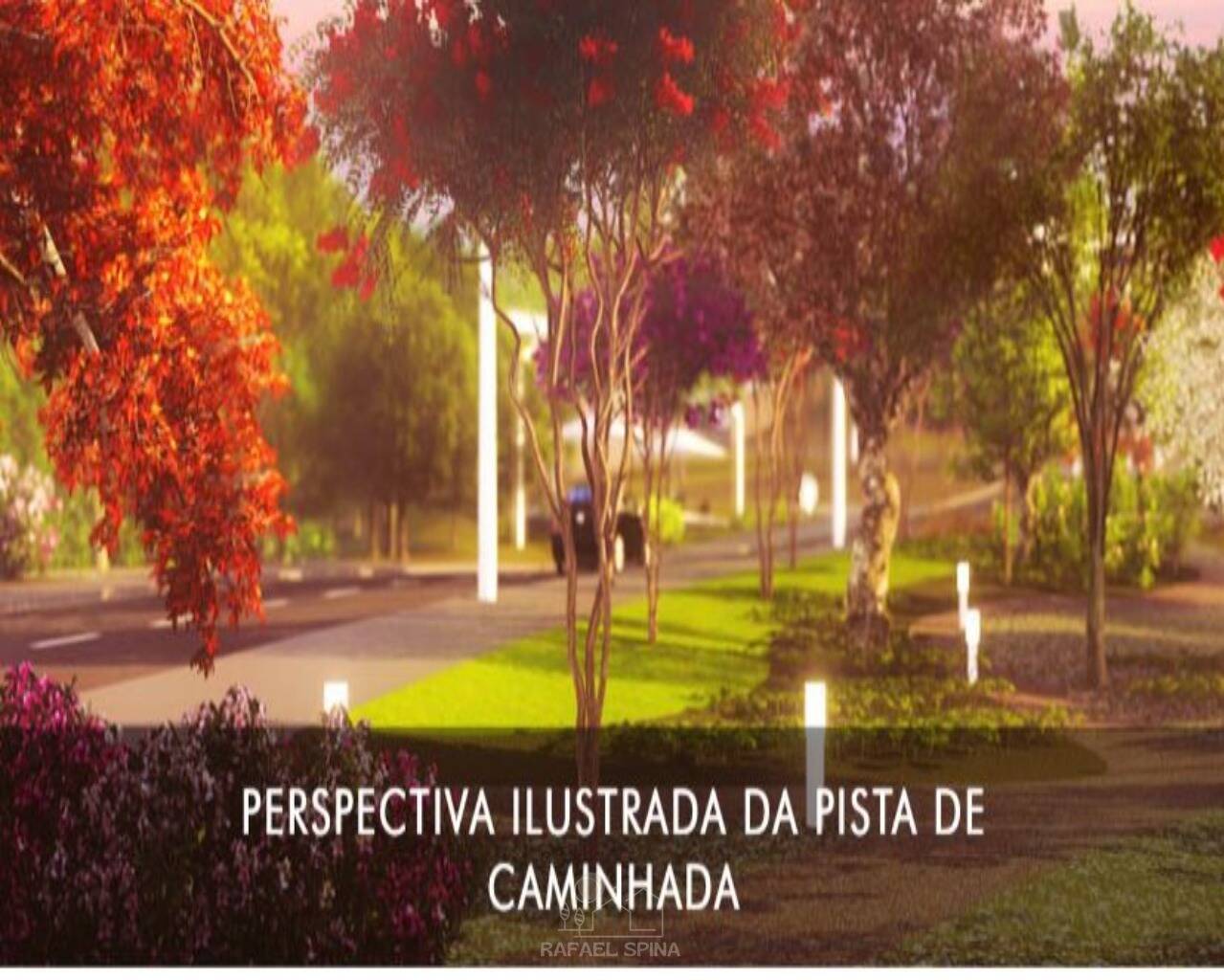 Terreno - Foto 18