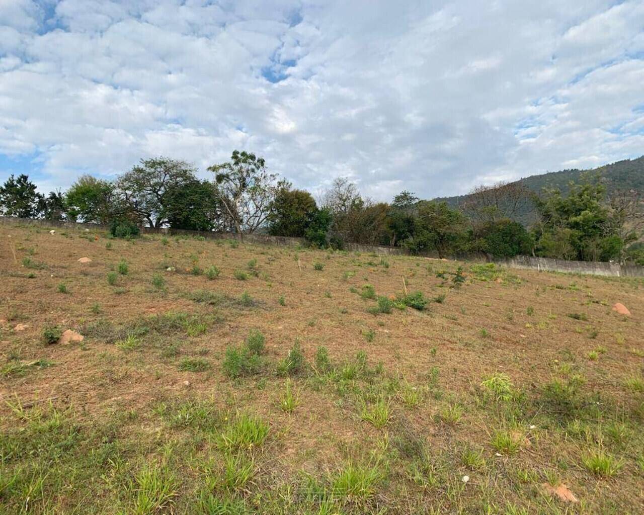 Terreno - Foto 4